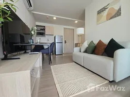 คอนโด 1 ห้องนอน ให้เช่า ในโครงการ ดีคอนโด รีฟ ภูเก็ต, กะทู้, กะทู้