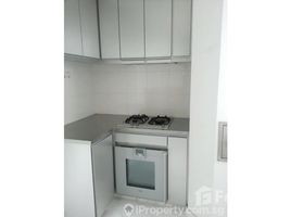 2 Bedroom Apartment for rent at Peck Hay Road, Cairnhill, Newton, Central Region