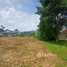  Terrain for sale in Phuket, Chalong, Phuket Town, Phuket