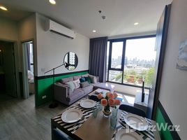 在XT Ekkamai租赁的2 卧室 公寓, Khlong Tan Nuea, 瓦他那, 曼谷