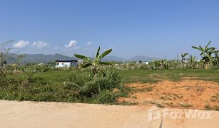 N/A Grundstück zu verkaufen in Pong Pha, Chiang Rai 