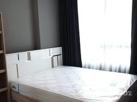 อพาร์ทเม้นท์ 1 ห้องนอน ให้เช่า ในโครงการ อาร์ทีมิส สุขุมวิท 77, สวนหลวง