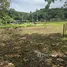  Grundstück zu verkaufen in Wichit, Phuket, Wichit