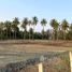  Land for sale in Prachuap Khiri Khan, Sam Roi Yot, Sam Roi Yot, Prachuap Khiri Khan