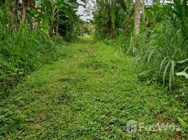 N/A Terrain a vendre à Tampak Siring, Bali Land with the Great View for Sale in Bali