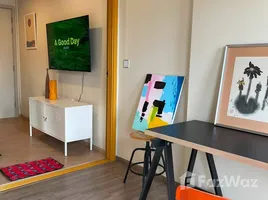 1 Bedroom Condo for rent at The BASE Sukhumvit 50, Phra Khanong, Khlong Toei, Bangkok, Thailand