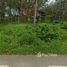  Земельный участок for sale in Pa Khlok, Пхукет, Pa Khlok