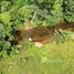  Terreno (Parcela) en venta en Perez Zeledon Airport, Pérez Zeledón, Pérez Zeledón