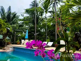 บ้านเดี่ยว 3 ห้องนอน ให้เช่า ในทำเล ตลิ่งงาม, สุราษฎร์ธานี, ตลิ่งงาม, เกาะสมุย, สุราษฎร์ธานี