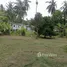 ขายที่ดิน ใน เกาะพะงัน, สุราษฎร์ธานี, เกาะพะงัน, เกาะพะงัน
