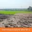  Land for sale in Lat Lum Kaeo Pathum Thani, Khlong Phra Udom, Lat Lum Kaeo, Pathum Thani