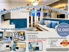 1 Bedroom Condo for rent at Lumpini Center Nawamin, Khlong Chan, Bang Kapi, Bangkok, Thailand