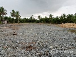  Grundstück zu verkaufen in Ban Phaeo, Samut Sakhon, Yok Krabat, Ban Phaeo