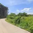  Land for sale in Choeng Thale, Thalang, Choeng Thale