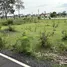  Земельный участок for sale in Fang Kham, Ubon Ratchathani, Fang Kham, Sirindhorn, Ubon Ratchathani