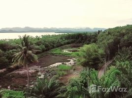 Земельный участок, N/A на продажу в Laem Sak, Краби Rare Location Land on Oceanfront in Ao Luek, Krabi
