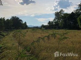  Land for sale in Hang Dong, Chiang Mai, Ban Waen, Hang Dong