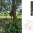  Land for sale in Prachuap Khiri Khan, Sam Roi Yot, Sam Roi Yot, Prachuap Khiri Khan