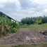  Grundstück zu verkaufen in Dau Tieng, Binh Duong, Minh Thanh, Dau Tieng, Binh Duong, Vietnam