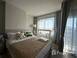 อพาร์ทเม้นท์ 1 ห้องนอน ให้เช่า ในโครงการ ดีคอนโด รีฟ ภูเก็ต, กะทู้, กะทู้, ภูเก็ต