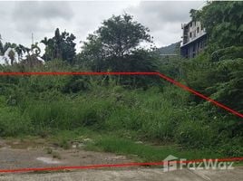  Land for sale in Choeng Thale, Thalang, Choeng Thale