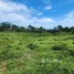 Terrain à vendre à San Felipe De Puerto Plata, Puerto Plata, San Felipe De Puerto Plata