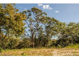  Terrain for sale in Guanacaste, Nicoya, Guanacaste