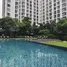 1 Bedroom Condo for rent at The Parkland Srinakarin, Samrong Nuea, Mueang Samut Prakan, Samut Prakan, Thailand