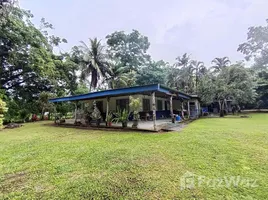 6 Bedroom House for sale in Guacimo Limon, Guacimo, Limon