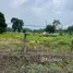  Land for sale in Costa Rica, Pococi, Limon, Costa Rica