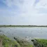 Land for sale in Ban Ko, Phra Nakhon Si Ayutthaya, Ban Ko, Phra Nakhon Si Ayutthaya, Phra Nakhon Si Ayutthaya