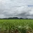  Terrain for sale in Kanchanaburi, Si Mongkhon, Sai Yok, Kanchanaburi