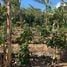  Terreno (Parcela) en venta en Costa Rica, Desamparados, San José, Costa Rica