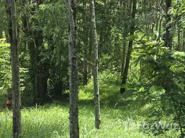 ขายที่ดิน ใน ไม้ขาว, ภูเก็ต, ไม้ขาว