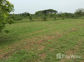  Grundstück zu verkaufen in Careiro, Amazonas, Careiro