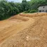  Land for sale in Sakhu, Phuket, Sakhu