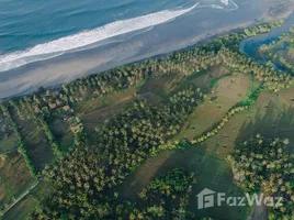  Land for sale in Tabanan, Bali, Selemadeg, Tabanan