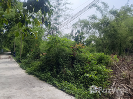  Land for sale in Vietnam, Thanh An, Dau Tieng, Binh Duong, Vietnam