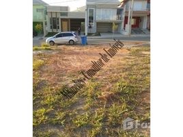  Land for sale at Centro, Itanhaem