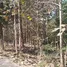  Земельный участок for sale in Bo Lek Long, Phrae, Bo Lek Long, Long, Phrae