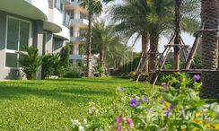 Photos 2 of the Communal Garden Area at Whale Marina Condo