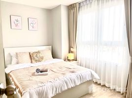 1 Bedroom Condo for rent at Rich Park at Chaophraya, Sai Ma, Mueang Nonthaburi, Nonthaburi