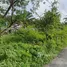  Land for sale in Patong Beach, Patong, Patong