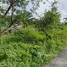  Land for sale in Phuket, Patong, Kathu, Phuket