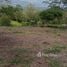  Terrain for sale in Cartago, Turrialba, Cartago