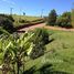  Terreno (Parcela) en venta en Fernando De Noronha, Rio Grande do Norte, Fernando De Noronha, Fernando De Noronha