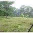  Land for sale in Limon, Pococi, Limon