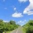  Land for sale in Yasothon, Kut Chiang Mi, Loeng Nok Tha, Yasothon