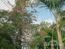 ขายบ้านเดี่ยว 4 ห้องนอน ในโครงการ วโรชา 5, บางเพรียง, บางบ่อ, สมุทรปราการ, ไทย