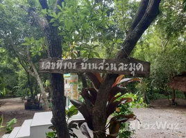 ขายที่ดิน ใน บ้านลาด, เพชรบุรี, บ้านลาด, บ้านลาด